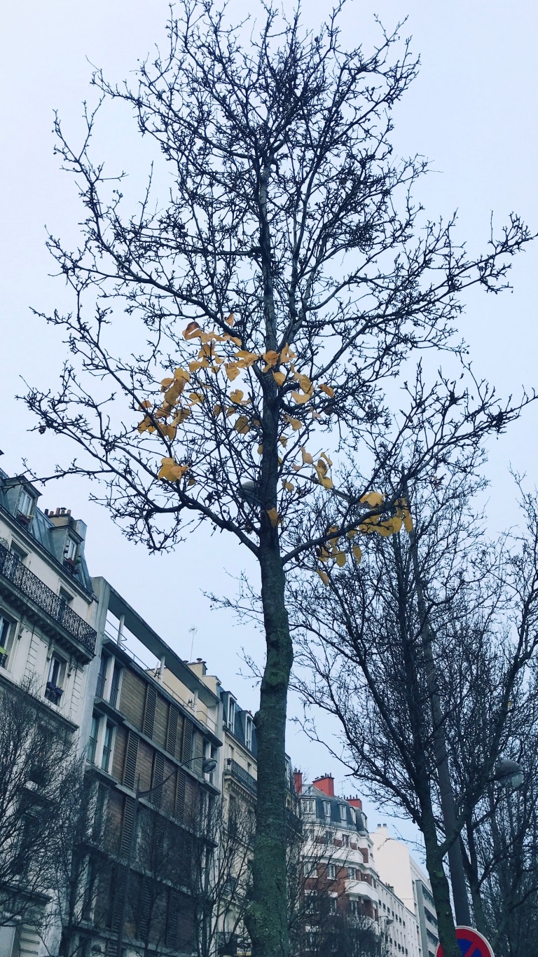 HipstamaticPhoto-535451647.143333